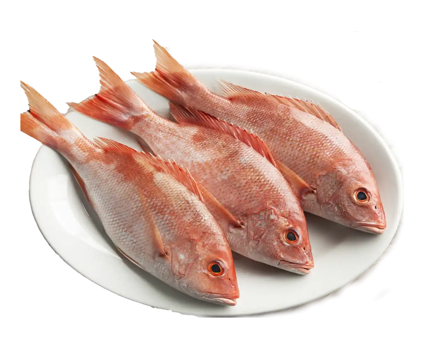 Chempalli