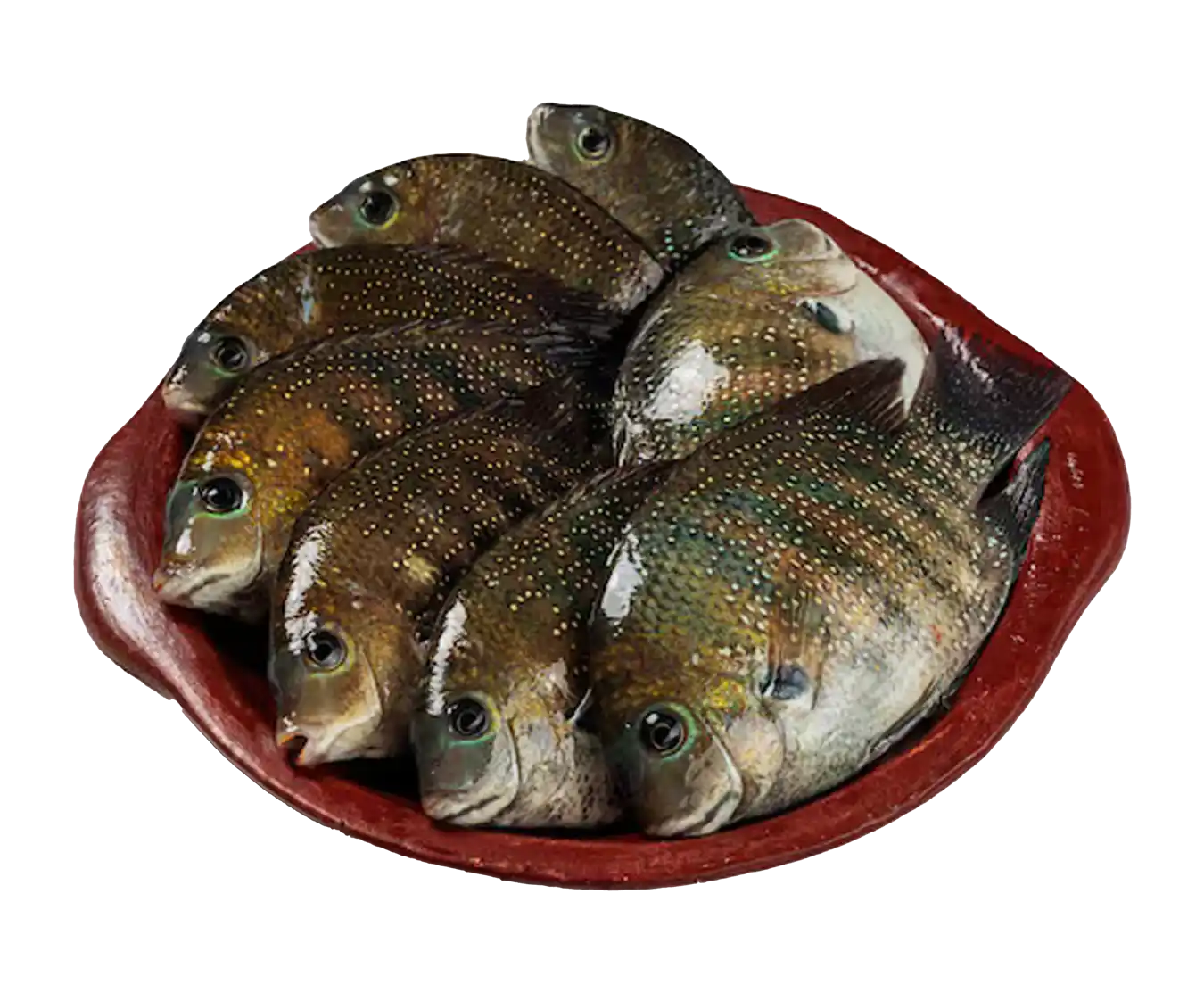 Karimeen